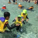 월드 연무관 합기도 이미지