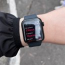 창녕 | 대구근교 등산 창녕 화왕산 등린이 등산 후기