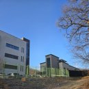 용인시 동물보호센터 | 용인시 유기견보호센터 봉사신청안내