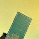 소노캄타워D비발디파크 | [강원도 호캉스] 소노캄 비발디파크 숙박 후기 | 가격·예약·주차 총정리