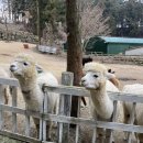 근호목장 이미지