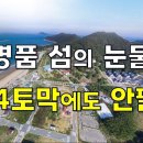 BTS 멤버 슈가가 추천해 더욱 유명해진 천혜의 자연환경“난지섬”~이 집은 그래도 안팔려[땅지통] 이미지