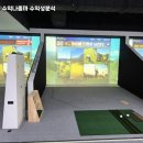 진짜스크린골프