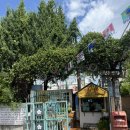 문화여인숙 | 전주 여행 필수코스 전주한옥마을 전주난장 후기