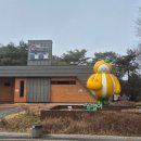 남성주참외(창원) 이미지