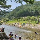 돌고래마루민박펜션 이미지