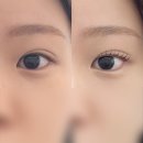 야무짐 | [서울/동대문구]회기속눈썹펌 잘하는곳 온뉴브로우 후기 회기역속눈썹펌맛집