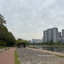 세연이김밥 | 2박 3일 대구 여행 코스｜송해공원, 스파크랜드, 서문시장 등
