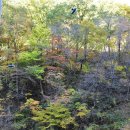 주홍민박 이미지