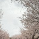 삼교리동치미막국수 안성점 이미지