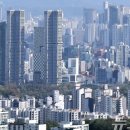 새한국공인중개사사무소 이미지