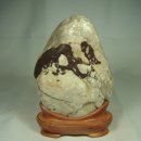 나무와 새 이미지