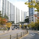 장안중앙로 이미지