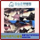 장승준동물치과병원 이미지