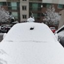 관모초등학교 이미지