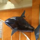 상순이네 하우스 이미지