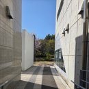 판교원로 | 판교 아이랑 가기 좋은 도서관｜조용한 운중도서관 후기 (벚꽃 산책 코스 추천)