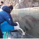 가덕수산 이미지