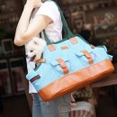 블루캔넬 이미지