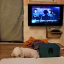 파라독스글램핑 이미지