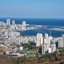 동해공인중개사사무소 이미지