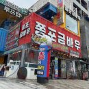 쫑포 금바우 이미지
