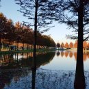 MP행정사사무소 이미지