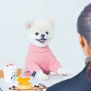 까페치노 이미지