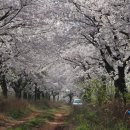 두산목장 이미지