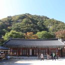 원효골계곡 이동화장실 | 포항 가볼만한곳, 오어사 | 원효대사의 숨결을 느낄 수 있는 천년고찰