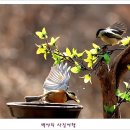 아름다운연출 이미지