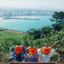 제주도게스트하우스파티달이머물 이미지