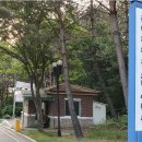 한국숲해설가협회 이미지