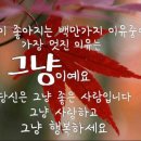 라이브케빈 이미지