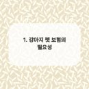 고려펫