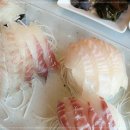 선창할아버지 네이버블로그