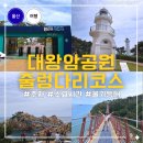 미르조경 | 울산가볼만한곳 대왕암공원 대왕암 울기등대 출렁다리 코스 역방향 주의할 점