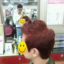 헤어고고 이미지