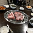 소금새 이미지