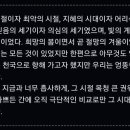 신사콜렉션