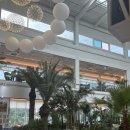 자연팜 | 포천 카페 추천｜자연 감성 대형 카페 팜브릿지 방문 후기