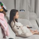 판도라독 이미지