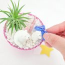 신갈초등학교(병설) 이미지