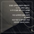 선택과집중