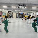 용인대노원태권도체육관 이미지