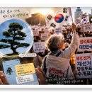 【윤승원 서간 에세이】 ‘푸른 솔’의 기개와 애국심 이미지