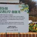 서동상회 이미지