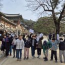 3-굴렁쇠대구2기역사생태체험단-경주불국사,박물관을 다녀오다. 이미지