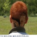 스타헤어랜드