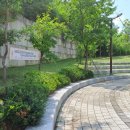 부영공원(월산근린공원) 이미지